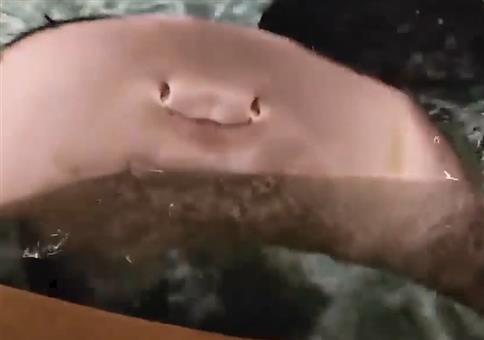 Jochen der Rochen sagt Hallo!