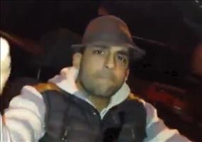 Ganz cool auf der Rückbank im Auto