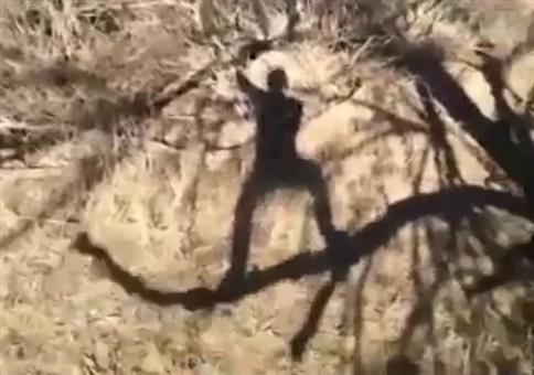 WTF zum Wochenende: Squash Banana Remix