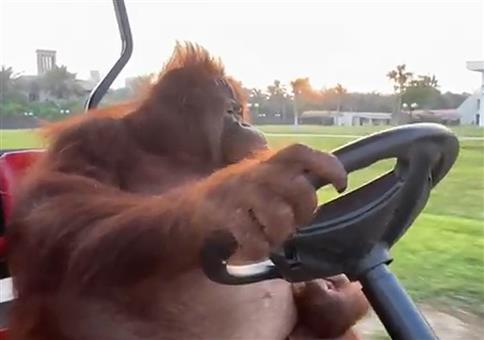 Mal die eigene Hood abchecken