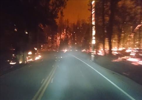 Mit dem Auto mitten durch den Waldbrand