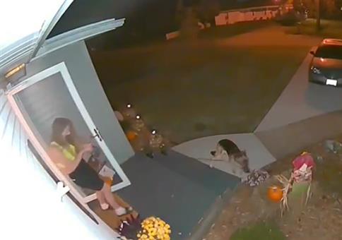 Schnell mal Gassi gehen und die Vogelscheuche mitnehmen