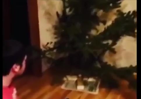 Auch mit dem Weihnachtsbaum geht es einmal zu Ende