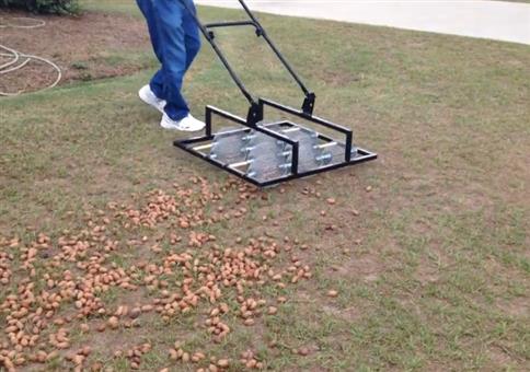 Eine Walnuss-Aufsammel-Maschine