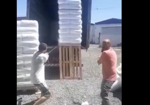 Profis laden Palette ab