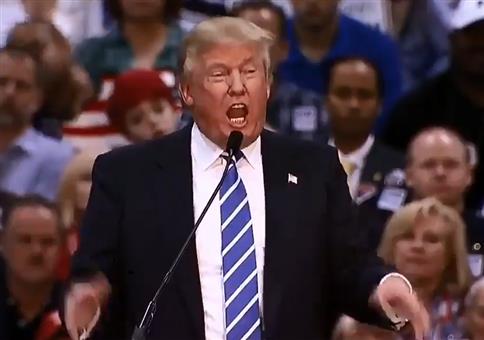 Putin und Trump - Senorita