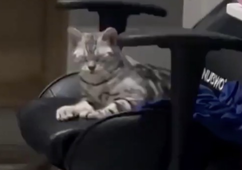 So fühle ich mich andauernd