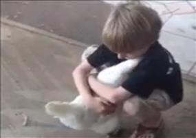 Heute schon ein Huhn umarmt?