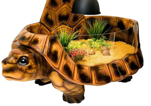 Eine Schildkröte für die Schildkröte