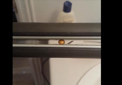 Popcorn mit dem Haarglätteisen machen