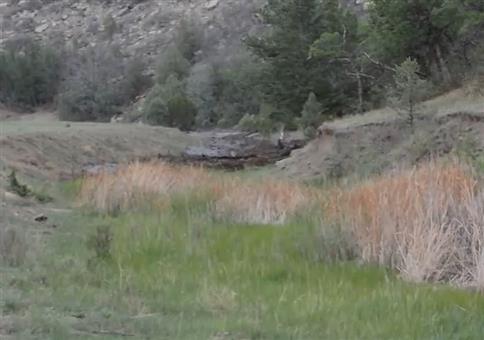 Obacht! Die Schlammflut kommt!