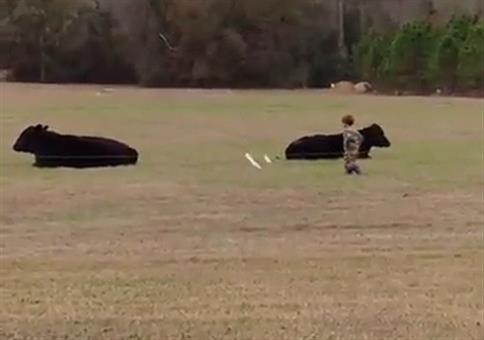 Vater des Jahres: Sohn VS Stier