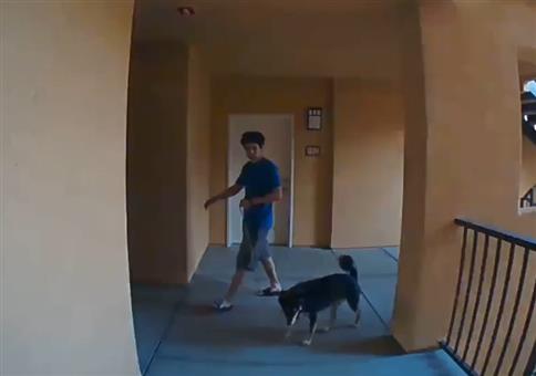 Richtig cleverer Dieb