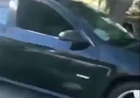 Ein paar Katzen im Auto