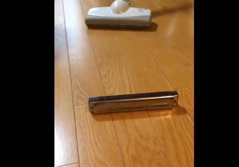 Staubsauger und Mundharmonika