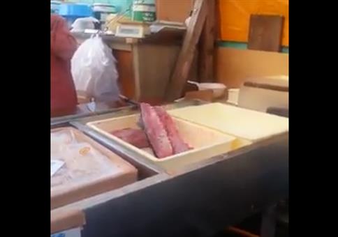 Lebender halber Fisch