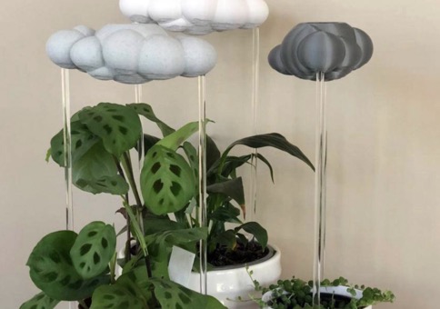 Ein paar Wolken für deine Zimmerpflanzen