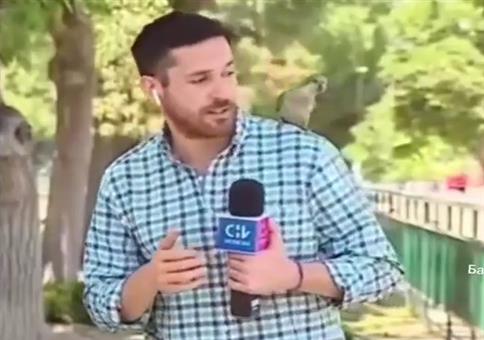 Och schau mal... ein Vögelchen