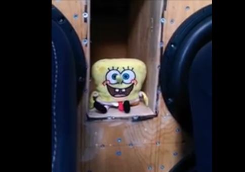 Spongebob im Bassrausch