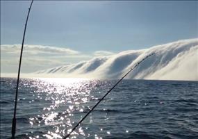 The Fog - Riesige Nebelwand über dem Lake Michigan