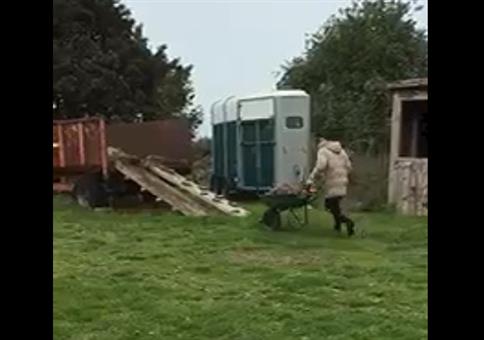 Ich lade mal schnell den Pferdemist auf