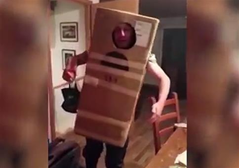 Besoffen in einer Pappbox gefangen