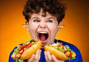 WTF? Hot Dog Kopfhörer