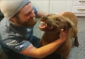 Fürchterlich klingender Hund