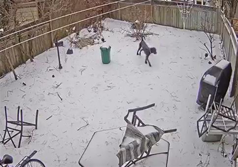 Wenn dir die inneren Instinkte das Leben retten