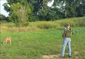 Dieses Rehkitz ist alles andere als scheu