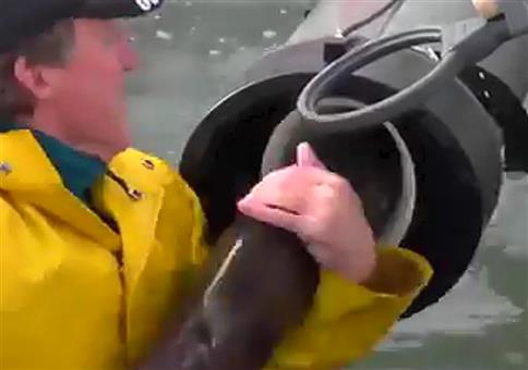 Lachsrutsche mit Mario Kart Sound