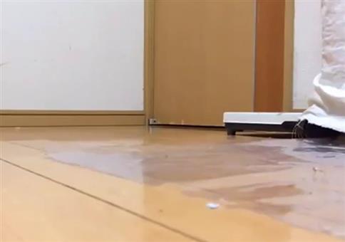 Strammer Militärmarsch