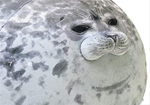 Kuscheln mit dem Specktorpedo