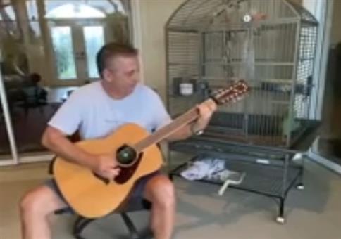 Papagei singt zur Gitarre