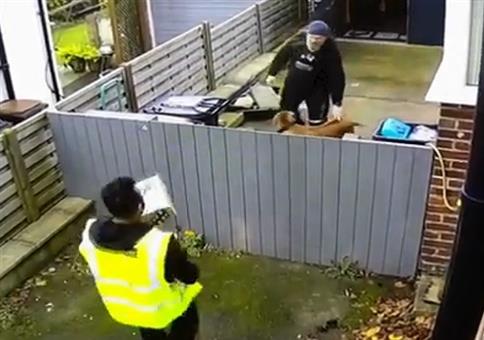 Den Briefträger erschrecken