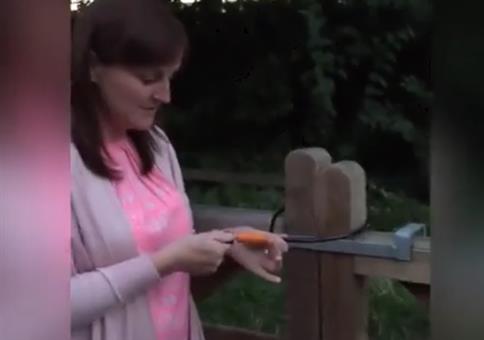 Tor verschließen - Frauenlogik