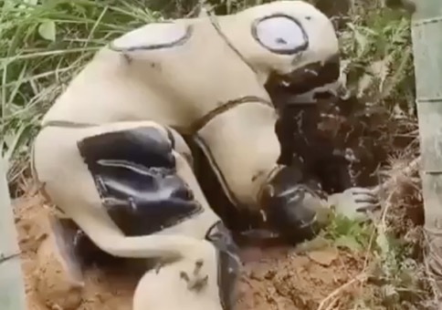 Wenn die Bienen selbst das kleinste Löchlein finden