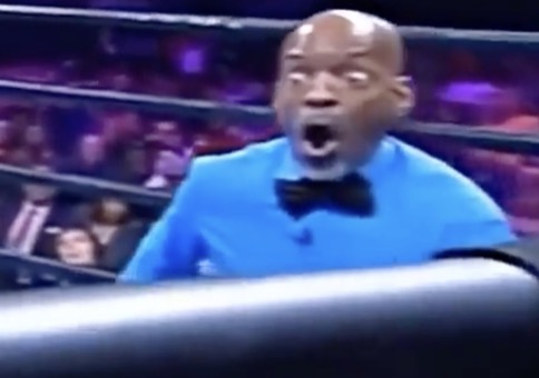 Ringrichter voll in seinem Element