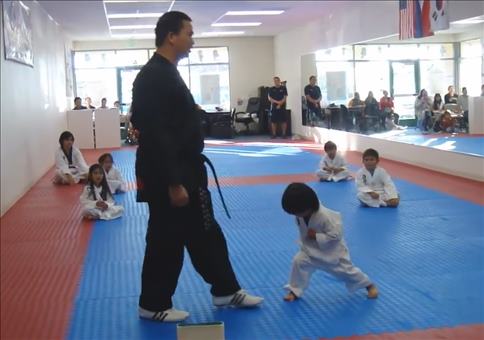 Kleiner Taekwondo Profi
