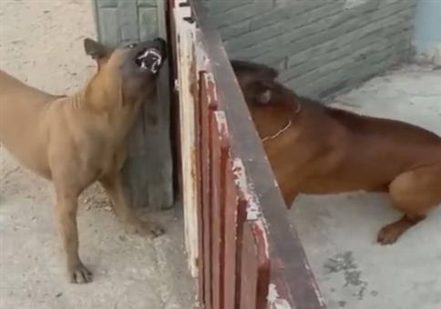 Wenn das Tor jetzt offen wäre, dann....