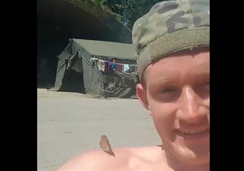 Mein neuer Freund der Schmetterling