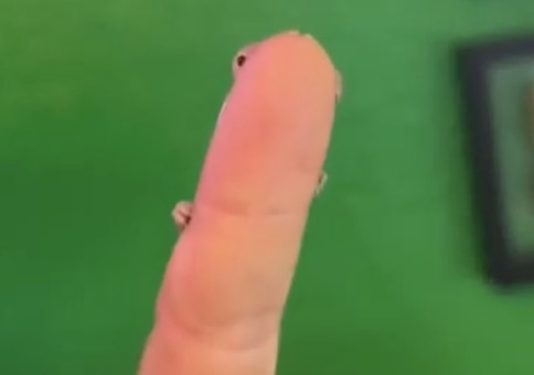 Er ist etwas kamerascheu