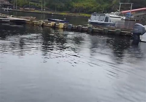 Kleinen Snack am Hafen einnehmen