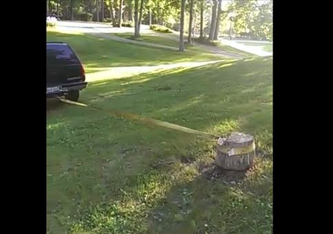 Baumstumpf mit dem Auto rausziehen