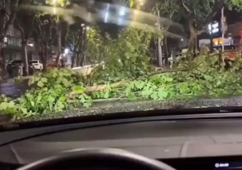 Da liegt ein großer Ast auf der Straße