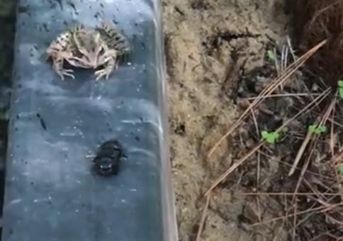 Schmeckt nich? Weg damit!