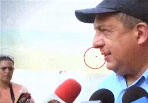 Hornoxe.com - Gifdump #259 - Animierter Picdump