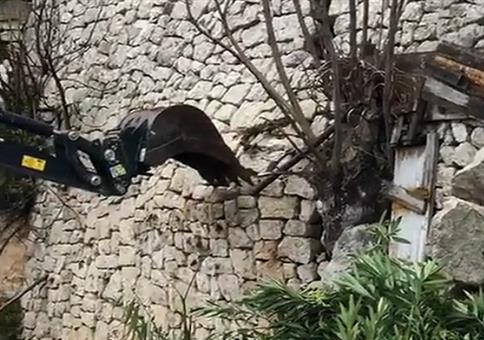 Den Stein aus der Mauer nehmen