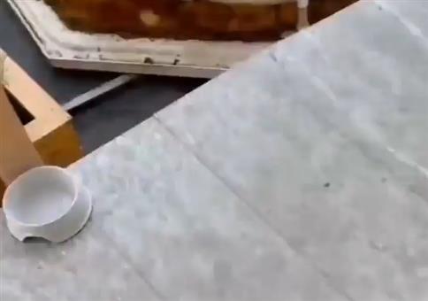 Barrierefreies Wohnen