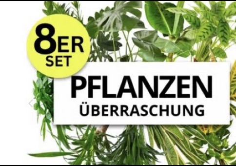 8er-Set Pflanzenüberraschung für 29,48€ (statt sonst 67€)